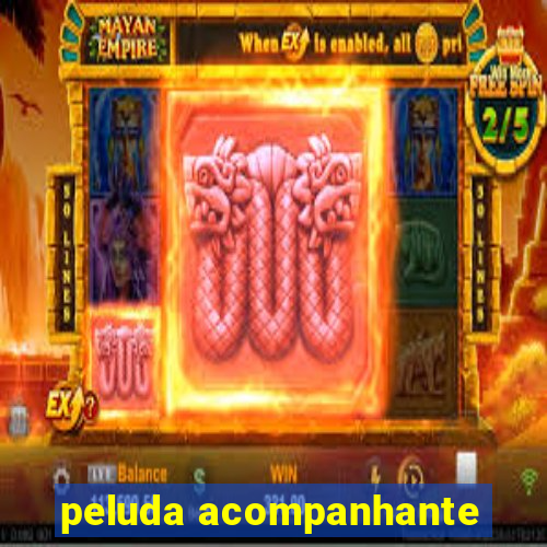 peluda acompanhante